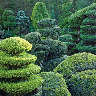 We offer soul midwifery, pet funerals and romantic bespoke wedding ceremonies